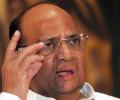 Modi in rush to take over PM's post, says Pawar