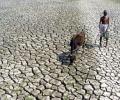 Indian drought: Bonanza for Canadian farmers