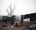 164 people have died of cold in Delhi so far