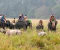 Kaziranga, Pabitora wildlife sanctuaries reopen after monsoon