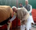 Fodder for scam: Lalu and his cows