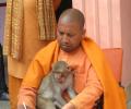 Is Yogi scared of the Mughals?