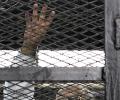 Egypt court sentences Brotherhood chief, 682 others to death