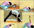 No copyright or trademark in Yoga, pranic healing asanas: HC