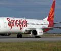 SpiceJet plane hits buffalo during take-off