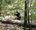 Last moments of Indian-origin hiker killed by a bear