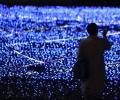 Why blue LEDs are worth a Nobel Prize