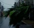 Hudhud impact: Uprooted trees, electric poles litter streets