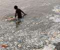 'The Ganga is in ICU'