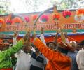 Sugar belt turns saffron