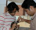 The brothers who are saving Delhi's birds of prey