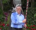 6 reasons why the Ice Bucket Challenge got your attention