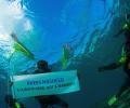 Maldives divers hold underwater protest for Nasheed