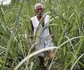 Mathura farmers cry foul as compensation cheques bounce