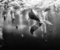 10 jaw-dropping photos from National Geographic Traveler photo contest