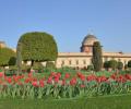 PIX: Prez's Mughal Garden is in full bloom and you are invited