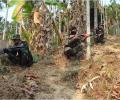 India, Indonesian troops hunt for insurgents in Mizoram