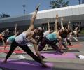 PHOTOS: The world gets its asanas right