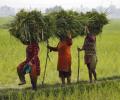 Jairam Ramesh: 2014 land Act will take us back to 1894!