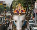 PHOTOS: Devotees bring home Maa Durga