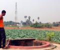 I Am Bihar: 'The farmer is the most stubborn of men'