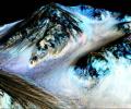 NASA confirms signs of flowing water on Mars