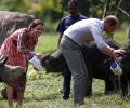 PHOTOS: Royals in the jungle: Will and Kate@Kaziranga