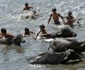 At 44 degree Celsius, mercury rises to season's highest in Delhi