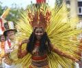 When all you could see in London was feathers and colour!