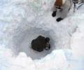 Siachen avalanche: Body of army man found after 5 days