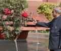 Welcome to the President's majestic Mughal Garden