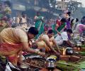 Tamil Nadu celebrates Pongal; Jallikattu ban plays spoilsport