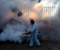 All you need to know about the 'dangerous' Zika virus