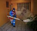 Avoid Zika-hit nations: IMA warns pregnant women