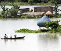 Flood situation grim in Assam, MP; 13 dead