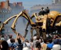 OMG! There's a GIANT spider on the loose in France