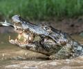 National Geographic reveals travel photograph of the year