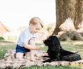 MUST SEE: Incredibly cute photos of UK's Prince George as he turns 3