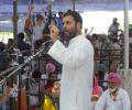 Rahul Gandhi makes drugs Punjab poll issue, guns for Akali government