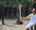 Jaguar shot dead after Olympic ceremony in Brazil