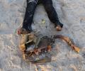 Al Qaeda terrorists kill 16 in Ivory Coast beach attack