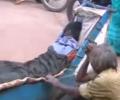 Telangana beggar pushes his dead wife's body on cart for 60 km