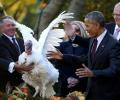 Obama pardons his last turkey... and has a pun-fest