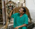 Meet India's only practising taxidermist