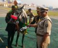 ITBP awards medals to its four-legged soldiers