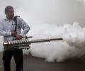 All you need to know about Dengue and Chikungunya