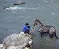 Will support Centre's decision on Indus Water Treaty, says J-K deputy CM