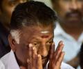 Sasikala expels OPS, aides; Palaniswami new legislature party leader