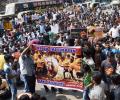 TN ordinance to allow Jallikattu awaits Centre nod