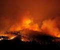 Massive Portugal forest fire kills 57